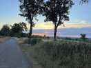 Evening walk