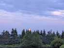 Lovely evening