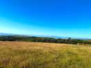 Blue skies and beautiful landscape