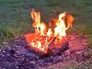 Nights spent by the fire