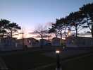 Lovely evening
