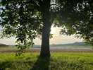 We pitched our tent in the shade of a walnut tree.