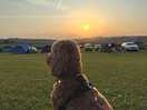Chilled evening watching the sunset