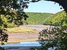 From the footpath between watergate and looe.