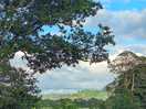 View walking down from the washing up area - beautiful