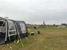 The site