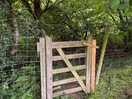 Gate to woodland