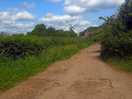 Nature walk