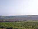 View from the site