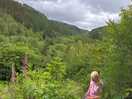 Plenty of well signposted walking routes - some quite hilly!