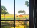 View from pod window.