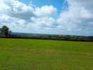 The view