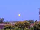 Strawberry moon