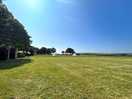 Lovely open field