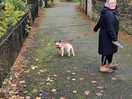 The wife walking