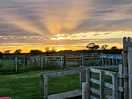 Beautiful sunsets