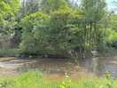 River our
