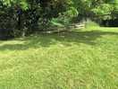 Stream