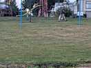 Excellent children's play area with plenty of space.
