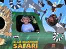 Safari fun