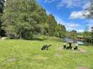 Walk to aberfoyle