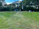 View of site
