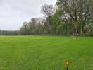 Lots of space to pitch