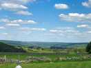 The view