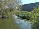 My fishing spot at pigeon cottage lakes, great tench and carp