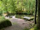 The weir - great for a dip