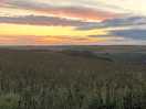 Evening view from camping pod