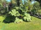 Well looked after gardens