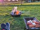 Firepit and barbecue