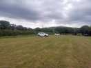 The field
