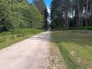 Easy walking paths
