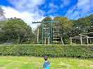 The high ropes
