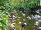 Stream running along the back of the site