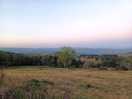 Views