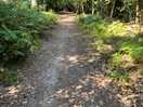 Walk