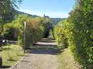 View down centre path to pitched on either side