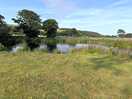 Fishing pond