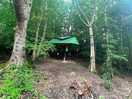 Tree top tent