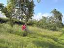 Swing