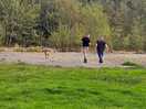 Nice area to go for a stroll on site. a little drive into the new forest for nice hikes.