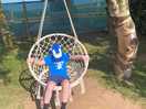 Swing