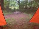 View from our tent!!
