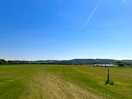 The site