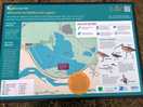 Map of lagoon