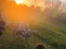 Sunset at the camp