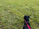 On a nearby walk
